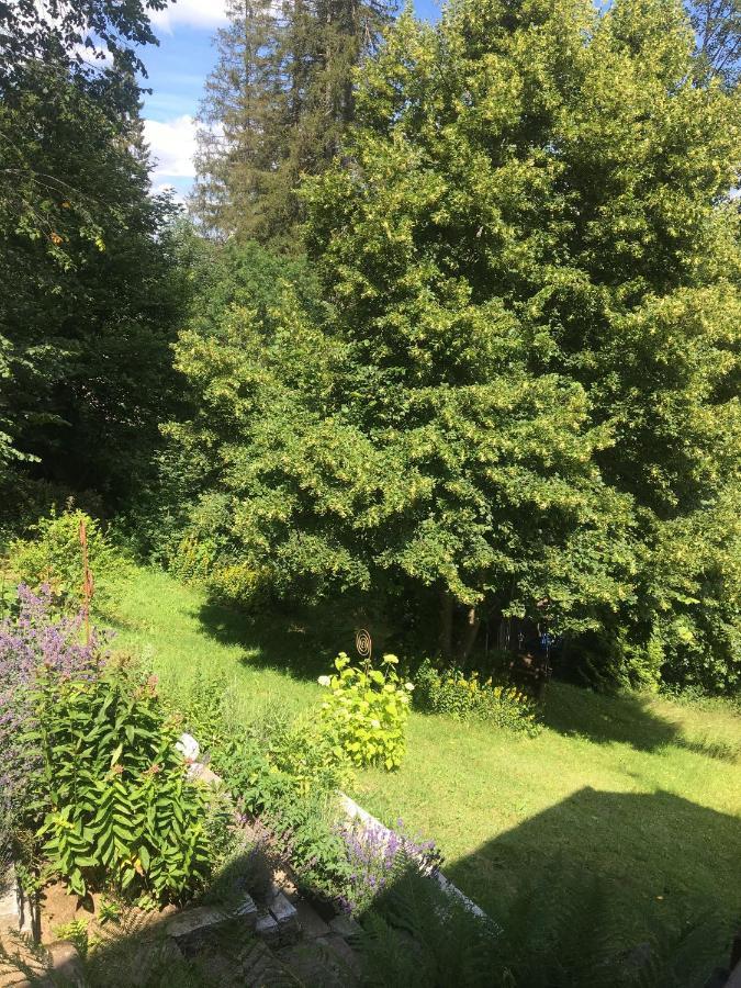 Ferienhaus Rotzinger Hinterzarten Exterior foto