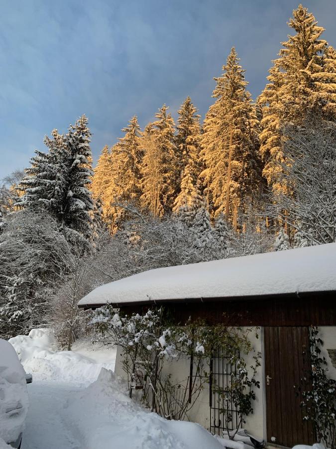 Ferienhaus Rotzinger Hinterzarten Exterior foto